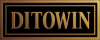 logo DITOWIN